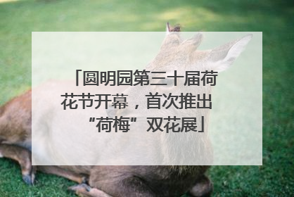 圆明园第三十届荷花节开幕，首次推出“荷梅”双花展